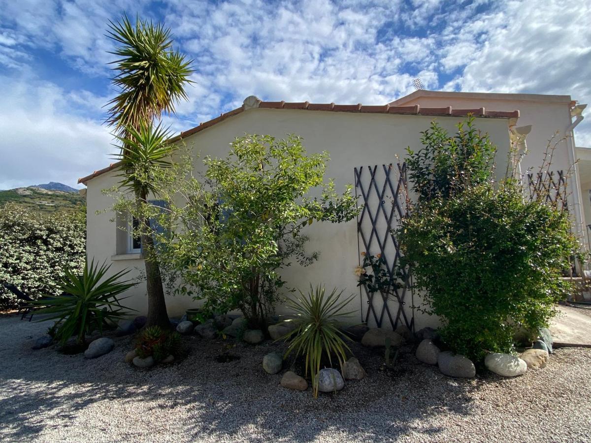 Casina Calenzana Apartment Exterior foto